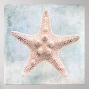 Starfish Distress Coastal Blue Cream Watercolor Poster
