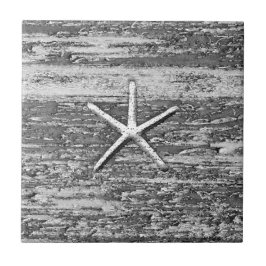 Starfish Driftwood Black and White Watercolor Kakelplatta