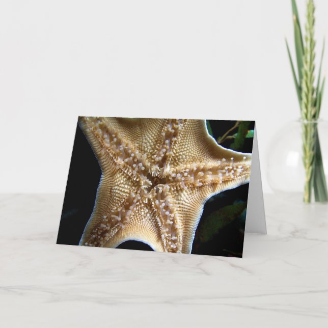 Starfish-hälsningskort Kort (Framsida)