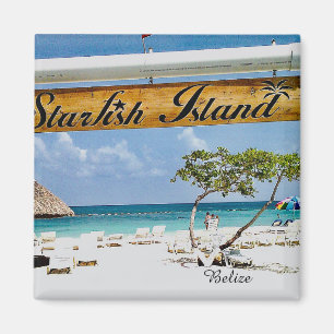 Starfish Island Belize Magnet på svenska