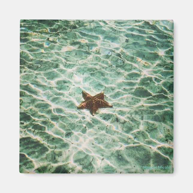Starfish Island Magnet (Framsidan)