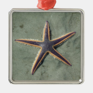 Starfish Lila sea star på strand Julgransprydnad Metall