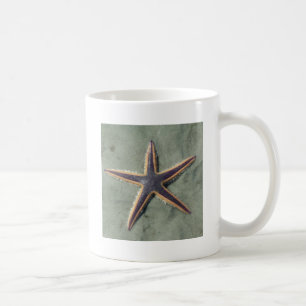 Starfish Lila sea star på strand Kaffemugg