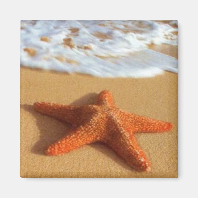 Starfish Magnet (Framsidan)