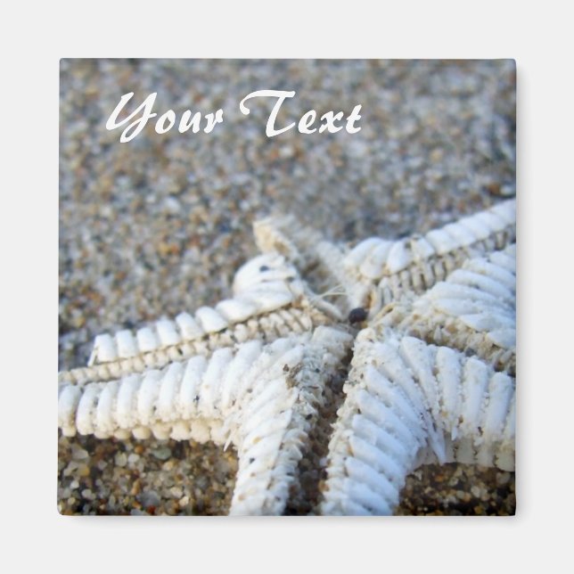 Starfish Magnet (Framsidan)