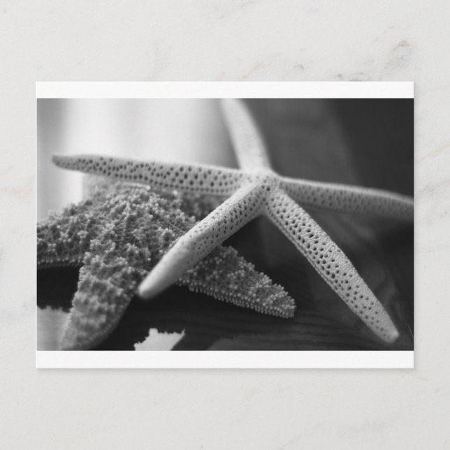 Starfish mono vykort (Framsida)