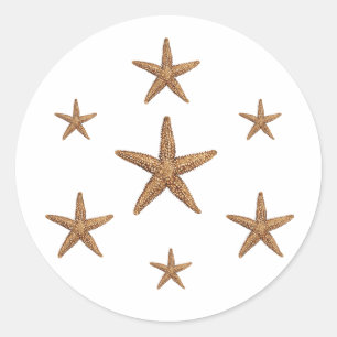 Starfish Mönster (geometrisk) Runt Klistermärke
