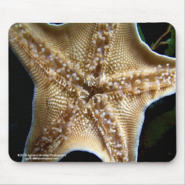 Starfish Mousepad Musmatta