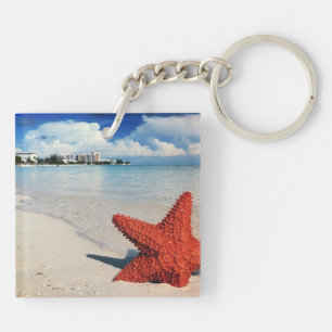 Starfish, Nassau, Bahamas
