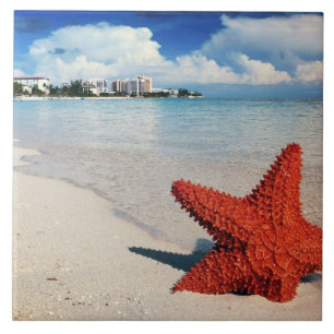 Starfish, Nassau, Bahamas Kakelplatta