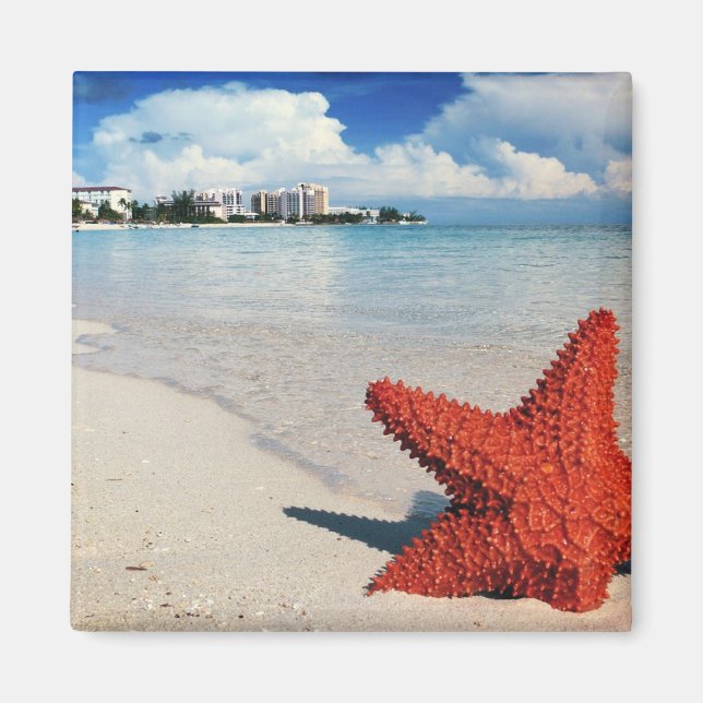 Starfish, Nassau, Bahamas Magnet (Framsidan)
