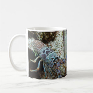 Starfish och Friends Coffee Mugg
