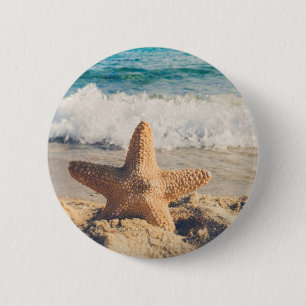 Starfish on a Sandy Beach Photographic Knapp