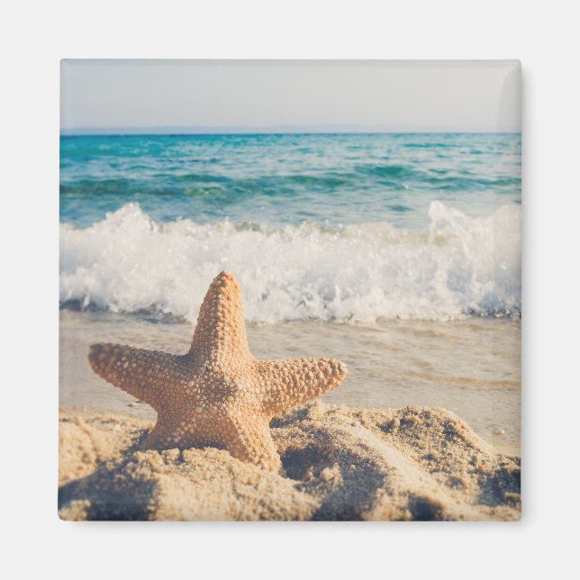 Starfish on a Sandy Beach Photographic Magnet (Framsidan)
