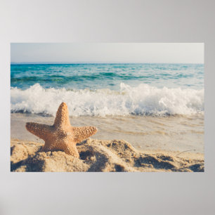 Starfish on a Sandy Beach Photographic Poster