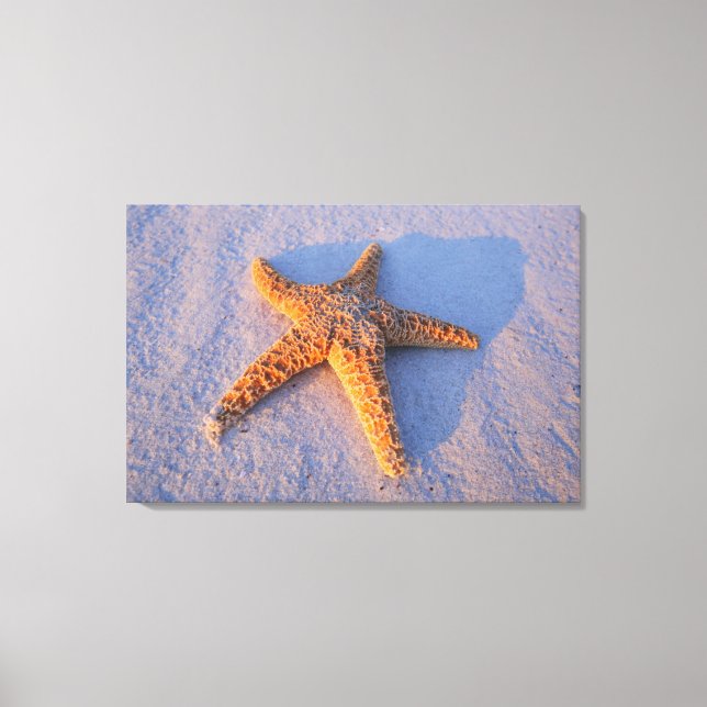 Starfish on White Sand Canvastryck (Framsida)
