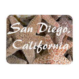 Starfish överallt, San Diego, Kalifornien Magnet