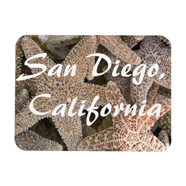 Starfish överallt, San Diego, Kalifornien Magnet (Horisontell)
