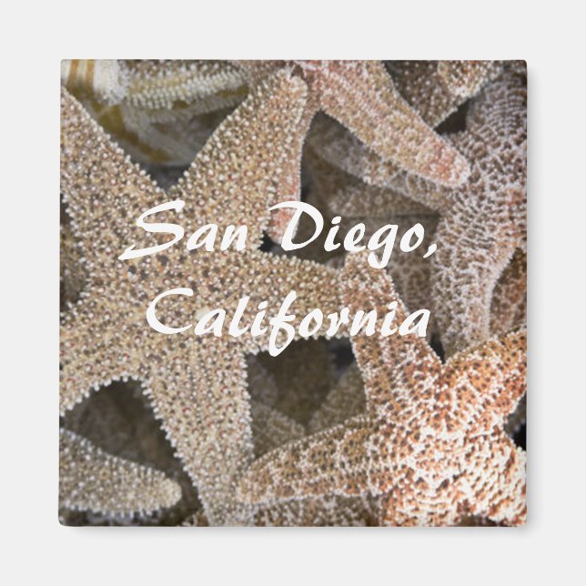Starfish överallt, San Diego, Kalifornien Magnet (Framsidan)