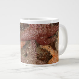 Starfish/Sea Stars in Cannon Beach, OR, Photo 4 Jumbo Mugg