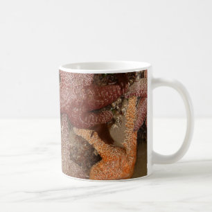 Starfish/Sea Stars in Cannon Beach, OR, Photo 4 Kaffemugg