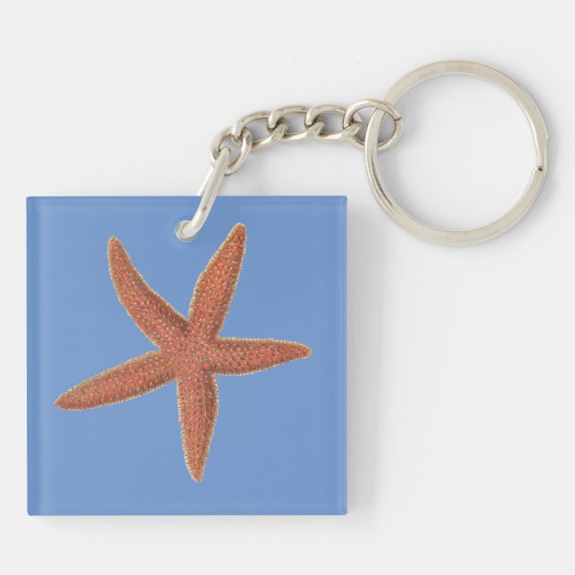 Starfish - Sherman Denton Fish Lithograph (Baksidan)