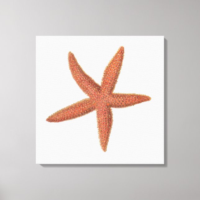 Starfish - Sherman Denton Fish Lithograph Canvastryck (Framsida)
