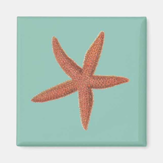 Starfish - Sherman Denton Fish Lithograph Magnet (Framsidan)