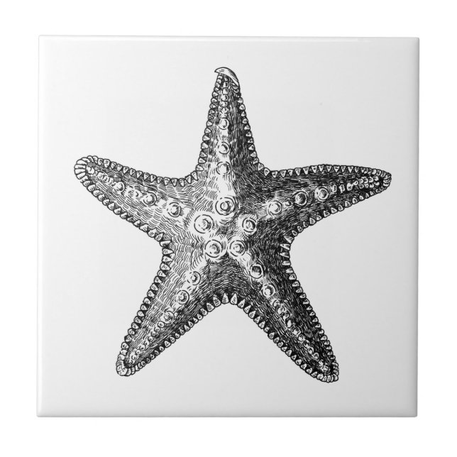 "STARFISH"-SJÖLIVET CERAMIC TILE KAKELPLATTA (Framsidan)
