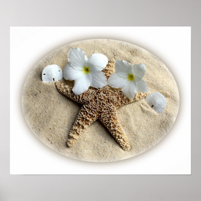 Starfish Snäckas Plumeria on Sand Poster (Framsidan)