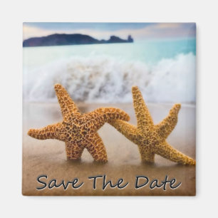 Starfish Spara datum magneter
