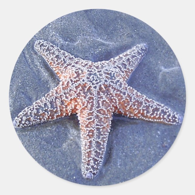 Starfish Sticker Runt Klistermärke (Framsida)