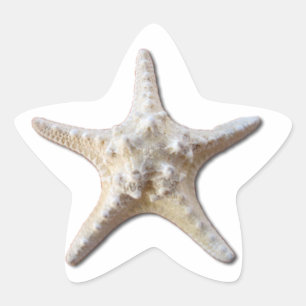 Starfish STicker - vit Stjärnformat Klistermärke