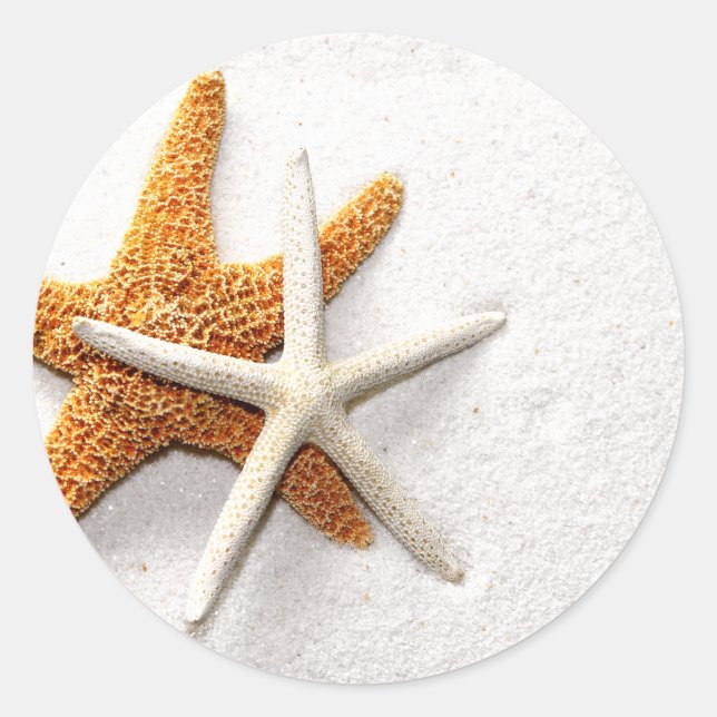 Starfish Stickers Runt Klistermärke (Framsida)