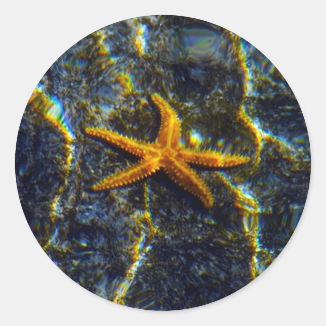 Starfish Stickers Runt Klistermärke (Framsida)