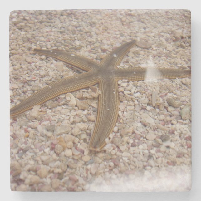 Starfish Stone Underlägg (Framsidan)
