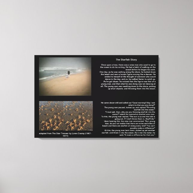 Starfish Story Canvas (Framsida)