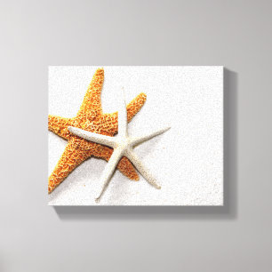 Starfish Stretched-Kanvastryck Canvastryck