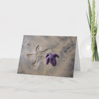 Starfish Tracks Kort