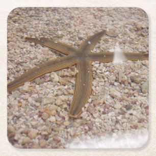 Starfish Underlägg Set Papper Kvadrat