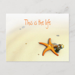 Starfish Vacation Vykort