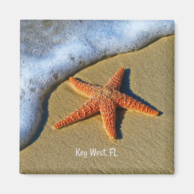 Starfish, vid stranden i Nyckel Väster, Florida. Magnet (Framsidan)