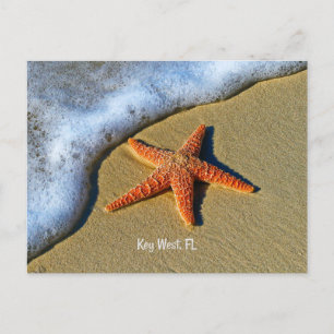 Starfish, vid stranden i Nyckel Väster, Florida. Vykort