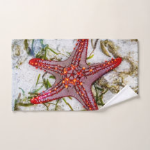 Starfish, Zanzibar, Tanzania