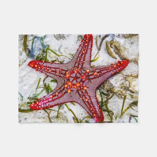 Starfish, Zanzibar, Tanzania Fleecefilt (Framsidan (Horisontell))