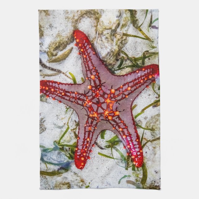 Starfish, Zanzibar, Tanzania Kökshandduk (Vertikal)