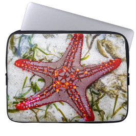 Starfish, Zanzibar, Tanzania Laptop Fodral