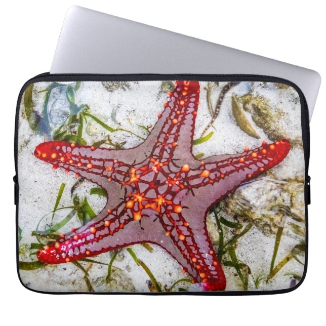 Starfish, Zanzibar, Tanzania Laptop Fodral (Framsidan)