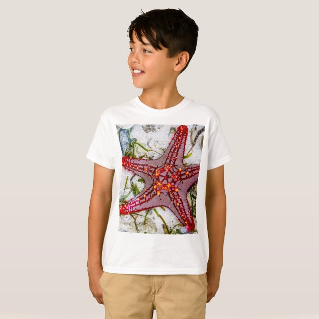 Starfish, Zanzibar, Tanzania T Shirt (Hel framsida)