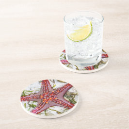 Starfish, Zanzibar, Tanzania Underlägg